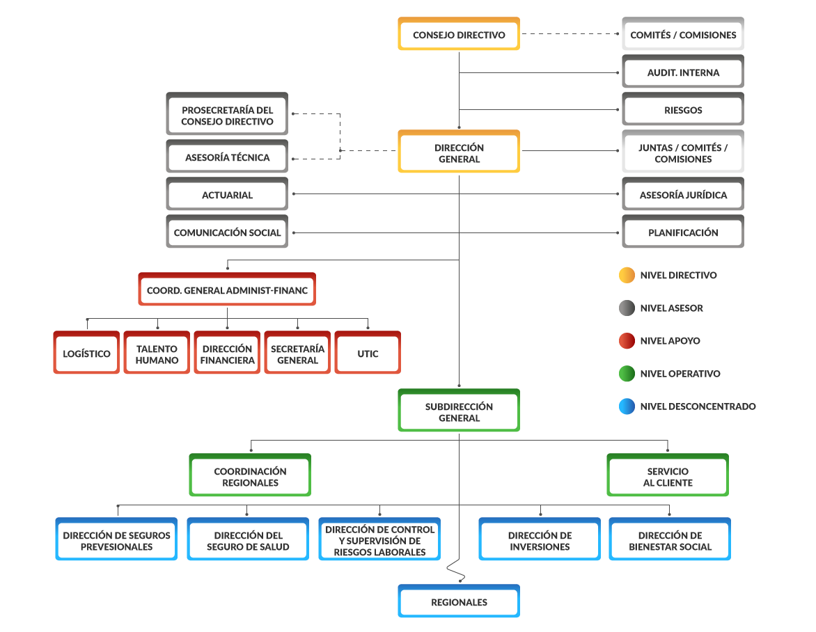 estructura organizacional